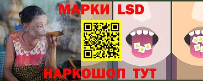 гашик Аргун